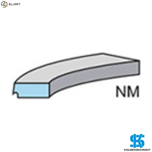 Piston ring kit - piston,