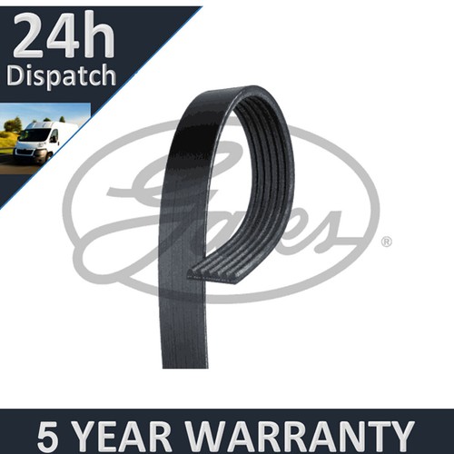 Gates ribbed belts for - v-ribbed,