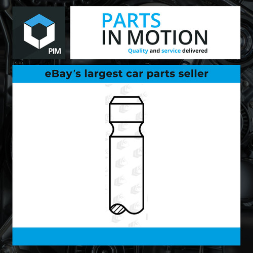 Exhaust valve fits - exhaust,