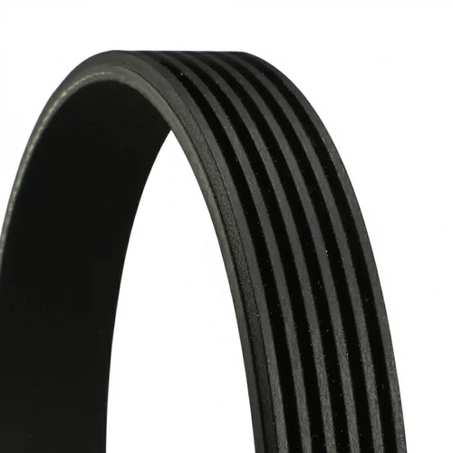 Multi ribbed belt - multi-ribbed, 6pk1560